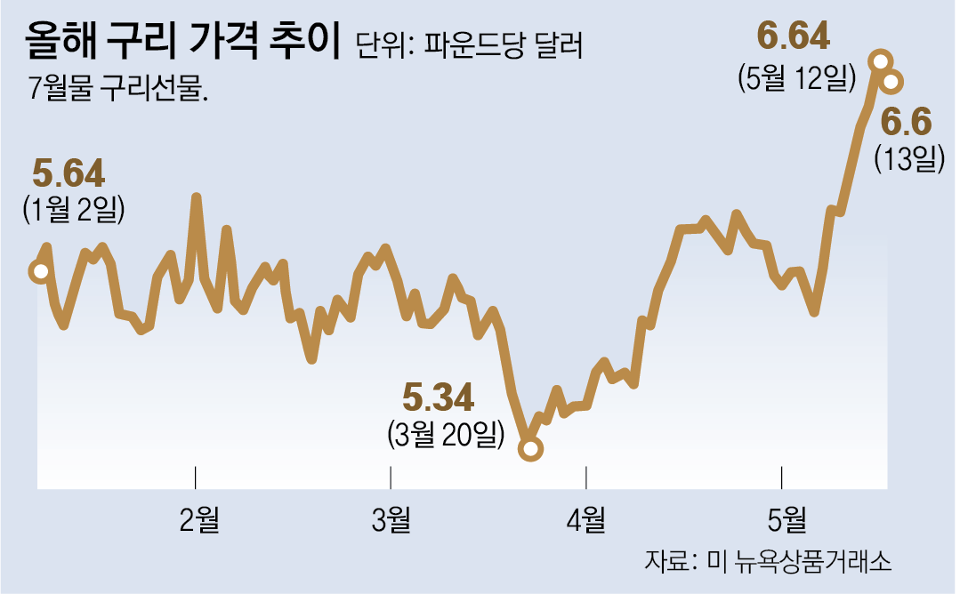 AI 열풍에 구리값 '껑충'...포커 업계 영향은?